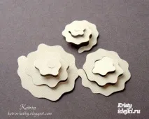рози рози