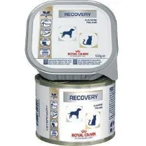 recovery canin