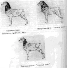 отраден трябва бъде