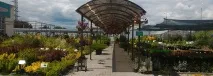 градински seima-garden
