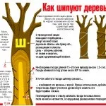 дървета инструкция