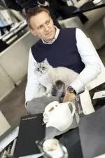 Санкт-Петербург, Що трапилося з котом Медведєва Розслідування блогерів - БезФормату котом