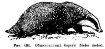 книга Ярославска книга Ярославска