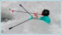 ревюта
