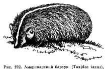 семейство книга Ярославска