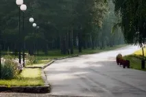 Санаторій Ай щодня
