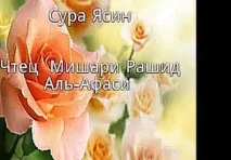 мишари