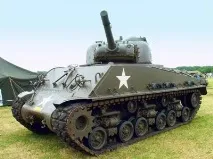 тигрів