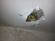 Зробили натяжну глянцеву стелю натяжну