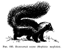 книга Ярославска Червената книга