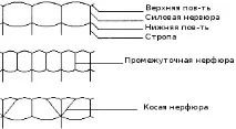 вътрешната кухина крило