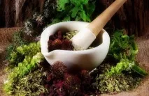 Лікувальні властивості ягоди лікувальні