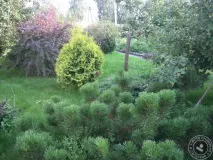 екатеринбург
