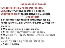 Лабораторна робота - Презентація 92269-11 92269-11