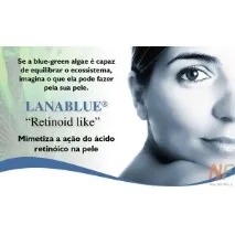 Lanablue, -, -,, -, косметика