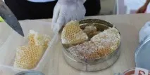Мед у стільниках - корисні властивості та як зберігати властивості
