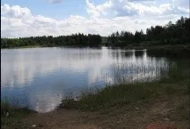 можете където
