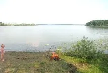 където където