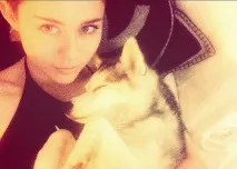 Майлі Сайрус убита горем померла улюблена собака співачки - Stars сайрус