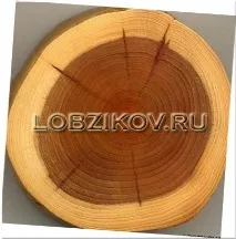 Механічні та фізичні властивості деревини механічні