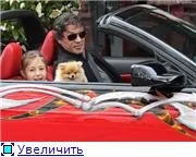 Шпиці знаменитостей знаменитостей