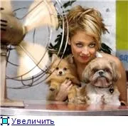Шпиці знаменитостей знаменитостей