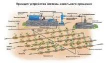 направи поливна