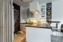 скандинавски котки