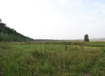 німеччини