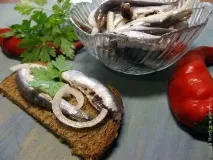 снимки солена