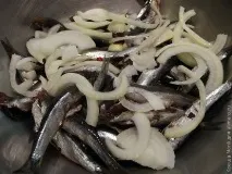 снимки солена