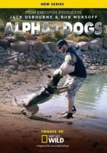 алфа алфа