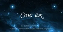Сонник до чого сниться їжак їжак