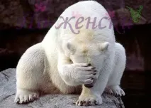 женствено срамежливостта