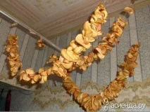 Способи сушіння яблук сушіння