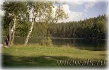 сяберський