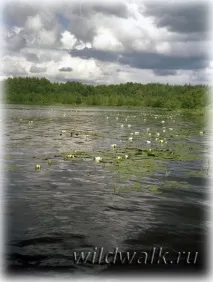 заказник