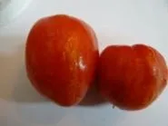 златен златен