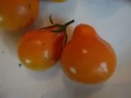 дракон рубли Цена рубли