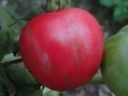 рубли Цена рубли рубли Цена рубли