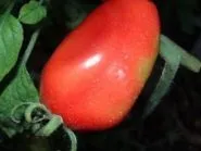 златен рубли Цена рубли