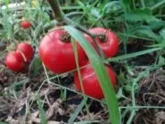 рубли Цена рубли рубли Цена