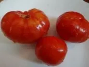 Цена рубли Цена рубли