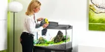Tetra pH водою