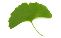 масла мускулни