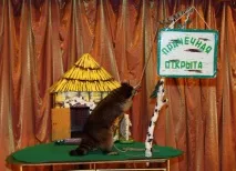дуров