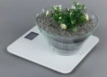 Розумна вага Withings Wireless Scale WS-30 withings