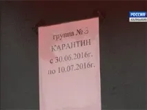 инфекция регистрирани