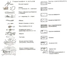 Умовні знаки на топографічній карті місцевості знаки