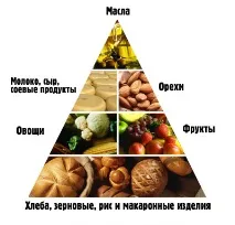 вегетарианство хранителна